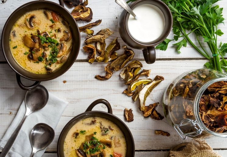 Особенности и секреты приготовления вкусных наваристых супов из сушеных грибов