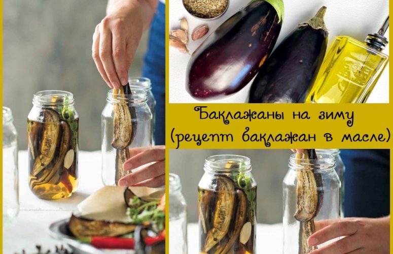 Баклажаны на зиму - рецепт консервации баклажан в масле