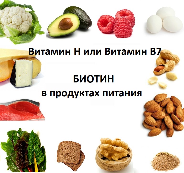 Продукты питания с высоким содержанием биотина