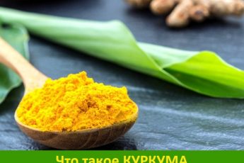 Что такое куркума