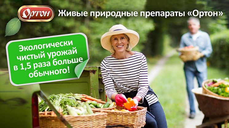 Природные фитогормоны роста растений Ортон