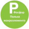 Фосфор (P) - макроэлемент и его роль в нашем здоровье