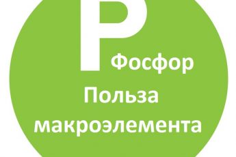 Фосфор (P) - макроэлемент и его роль в нашем здоровье