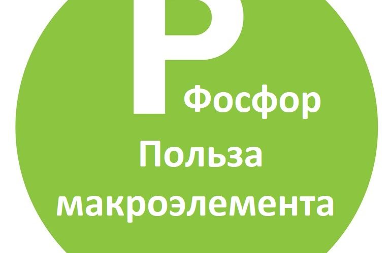 Фосфор (P) - макроэлемент и его роль в нашем здоровье