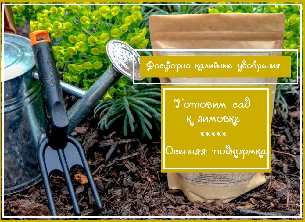 Удобряем сад осенью - используем фосфорно-калийные удобрения
