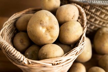 Как хранить картофель