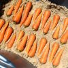 Морковь на зиму - хранение в песке 2
