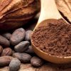 Какао: плоды, бобы и порошок