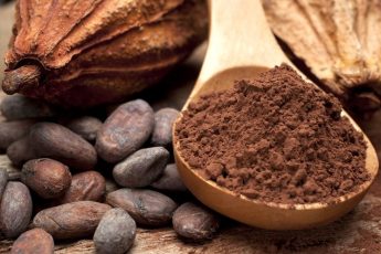 Какао: плоды, бобы и порошок