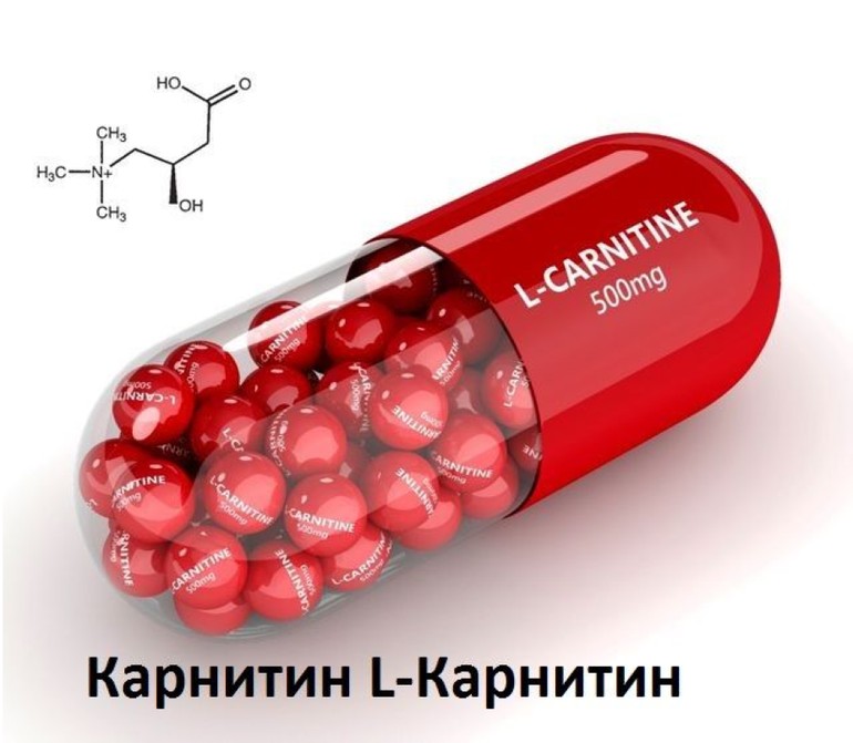 Карнитин или L-карнитин - хорошая фигура и здоровое сердце