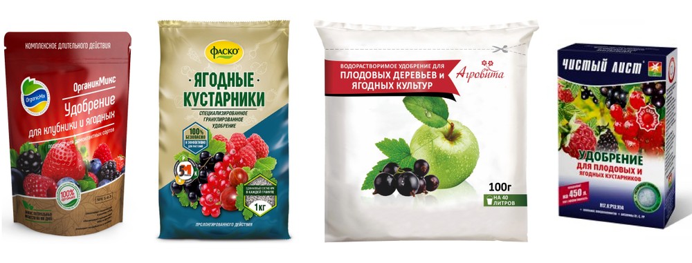 Можно ли подкармливать смородину дрожжами. kompleksnyye udobreniya dlya podkormki smorodiny. Можно ли подкармливать смородину дрожжами фото. Можно ли подкармливать смородину дрожжами-kompleksnyye udobreniya dlya podkormki smorodiny. картинка Можно ли подкармливать смородину дрожжами. картинка kompleksnyye udobreniya dlya podkormki smorodiny. Все живые организмы, включая и растения, нуждаются в питании. Однако в разных почвах содержания микро- и макроэлементов может быть недостаточным для нормального развития деревьев, огородных культур и кустов. Чтобы правильно применять удобрения, давайте узнаем, чем подкормить смородину и крыжовник весной.