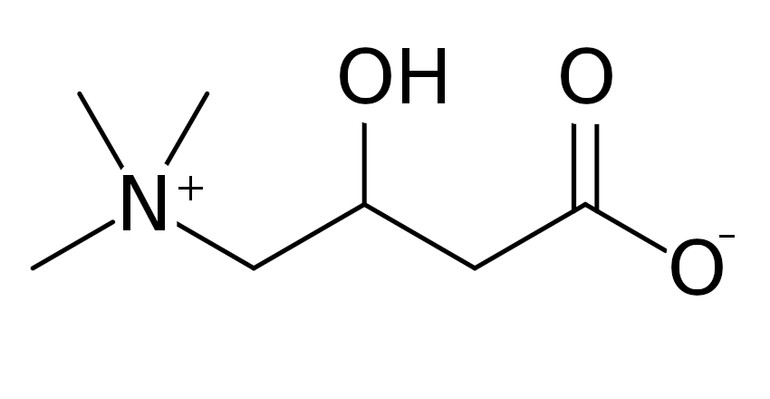 L-карнитин или левокарнитин