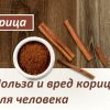 Польза и вред корицы для организма