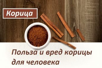 Польза и вред корицы для организма