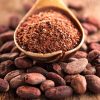 Какао-порошок - в чем его польза и рецепты какао