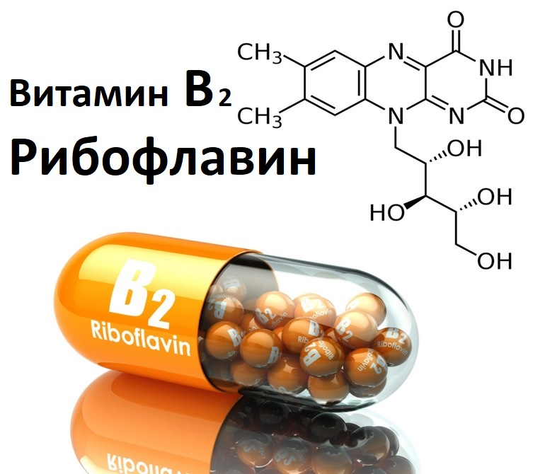 Витамин В2 - источники Рибофлавина и его влияние на организм