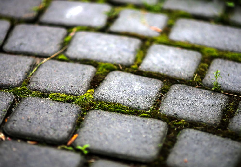 Брусчатка в саду