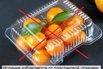 В Испании планируют запретить продажу овощей и фруктов в пластиковой упаковке