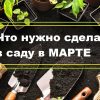 Работы на садовом участке в марте