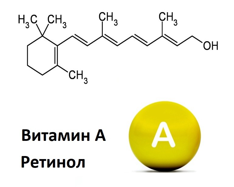 Витамин А - ретинол и его действие на человека