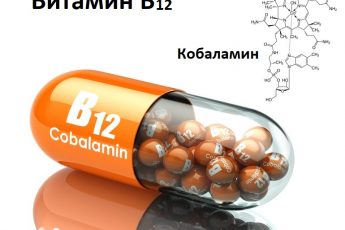 Витамин B12 - описание и источники