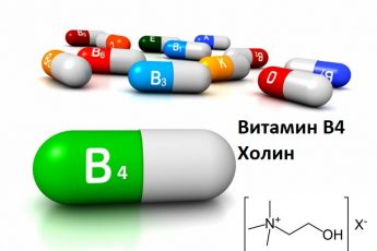 Витамин В4 (Холин) - описание и биологическая роль