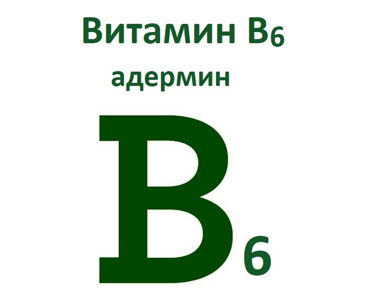 Витамин B6 - в чем его сила и в каких продуктах он сдержится