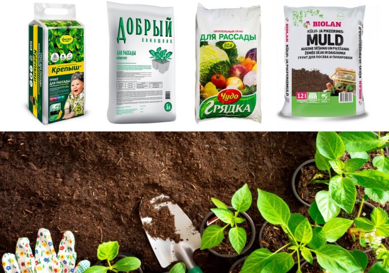 Покупаем грунт для рассады — как выбрать хороший грунт — ВокругСада.ру