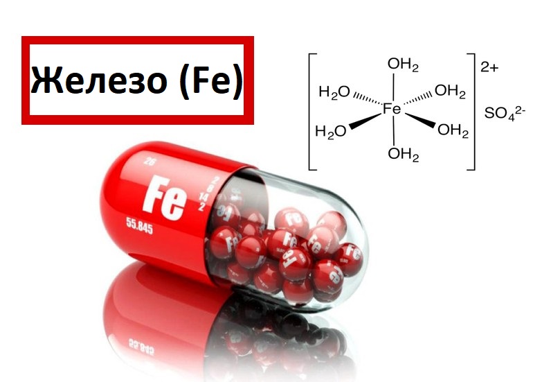 Железо (Fe) - роль в организме и польза для здоровья